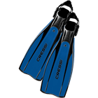 Cressi Pro Light rental fins