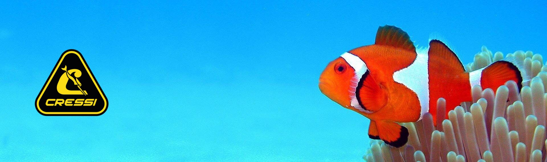 Cressi Clownfish