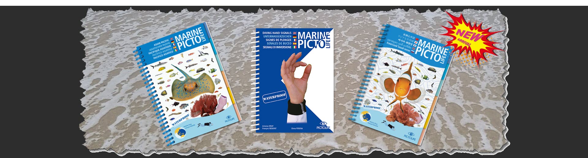 Pictolife Marine Animals book